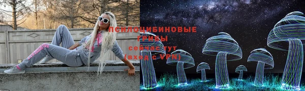 крисы Абинск
