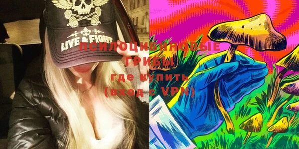 spice Абаза