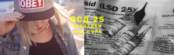spice Абаза