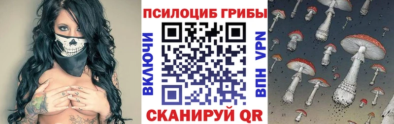 мега зеркало Усть-Кут Галлюциногенные грибы прущие грибы